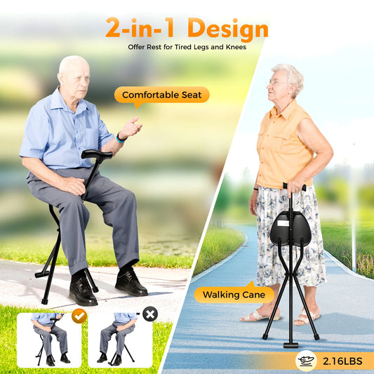 Folding Cane with Seat